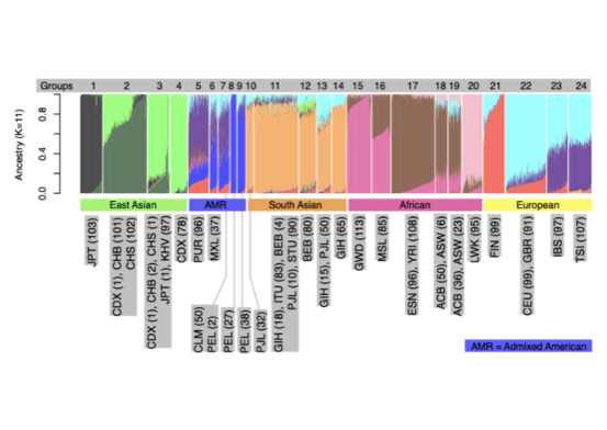 Fine-scale subpopulation detection via an SNP-based unsupervised method, A case study on the 1000 Genomes Project resources. Biocomputing 2023