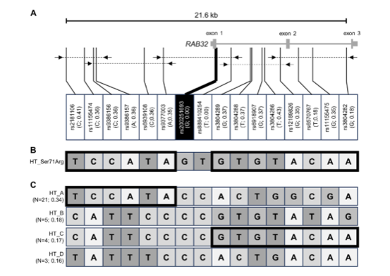 Genetic and Epidemiological Insights into RAB32-Linked Parkinson’s Disease. Movement Disorders 2024